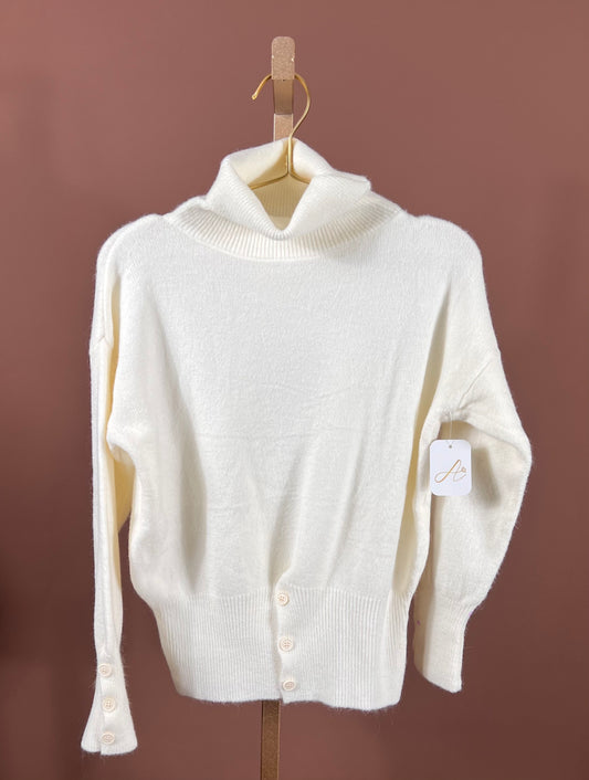 Turtle Neck Sweater